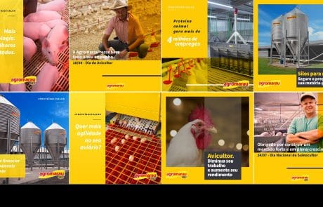 Agromarau - Institucional