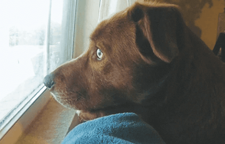 Bortolini Imóveis | Momentos em Casa